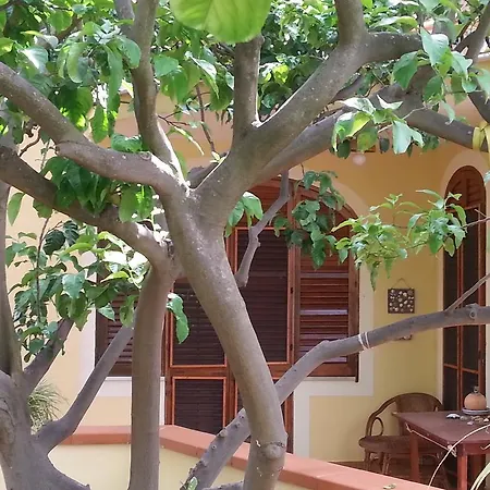 Bed & Breakfast Ortensie