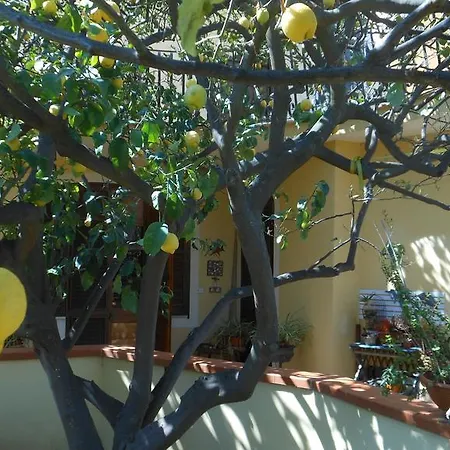 Couette-café Ortensie San Leone