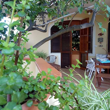 Ortensie Couette-café San Leone