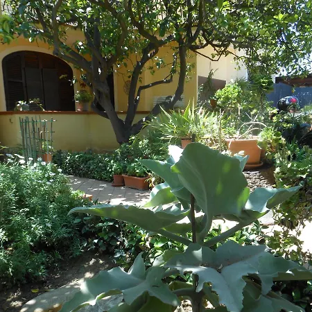 Ortensie San Leone